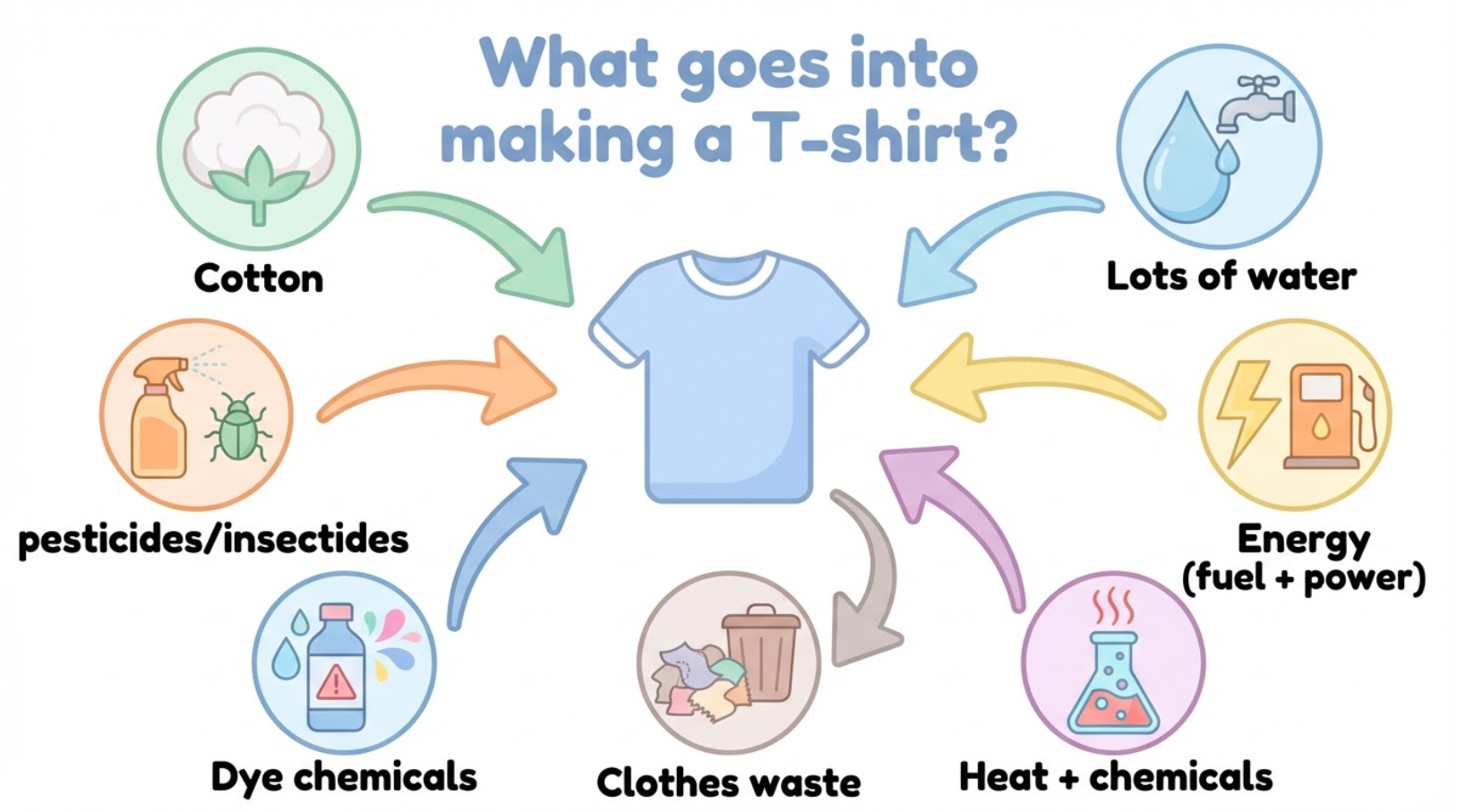 The True Cost of a Cotton T-Shirt: Environmental Impact & What You’re Really Paying For